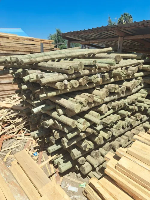 Fencing Posts
